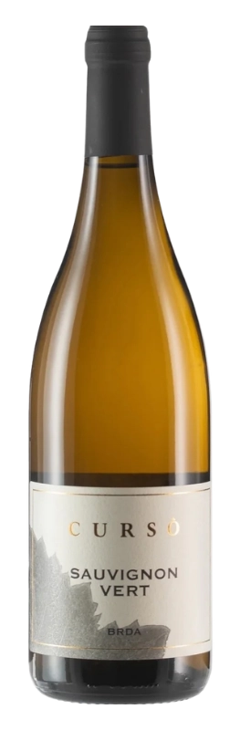Zalatel - Curso Sauvignon Vert