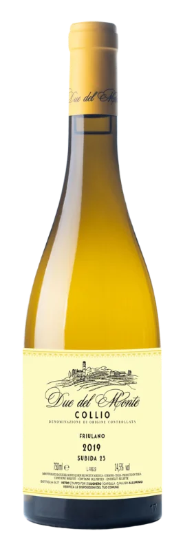 Due del Monte Friulano - Subida 23 - 2019