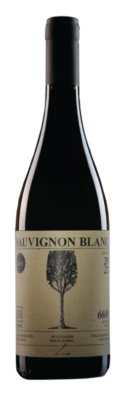 Kobal - Roots Sauvignon